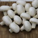 Podstawowe zasady gotowania pieczarek