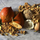 Jak przyrządzić kurki w śmietanie?