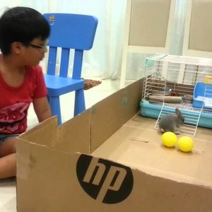 Klatka i wyposażenie